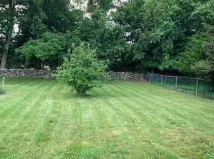 Guillermo G.'s Lawn Maintenance service result